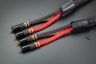 Black Series EVO-3 RCA 3.jpg