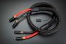 Black Series EVO-3 RCA main.jpg