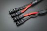 Black series EVO-3 XLR 2.jpg