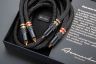 Black series EVO-2 RCA 1.jpg