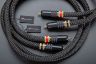 Black series EVO-2 RCA 2.jpg
