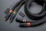 Black series EVO-2 RCA 3.jpg
